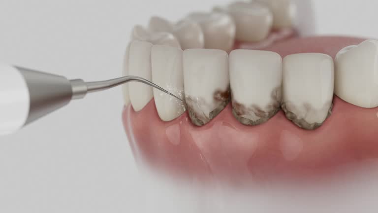 Reliable Dental contractor in Roseville, MN by Dentist Open Now
